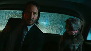 John Wick Is Excommunicado  John Wick Edit  Im God Slowed  reverb [upl. by Firehs]