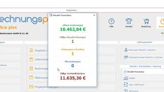 Aktueller Finanzstatus mit rechnungsprofi [upl. by Laeahcim]