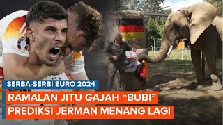 Gajah quotBubiquot Si Peramal Jitu Prediksi Jerman Menang Lagi di Euro 2024 [upl. by Ahsratan481]