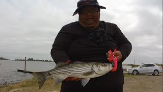 Perfect Weather For Fishing ONeill Forebay Fishing [upl. by Batha]