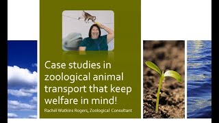 A Zoo Registrar’s Perspective  Animal Transportation Welfare Symposium 2023 Discussion [upl. by Kenelm354]