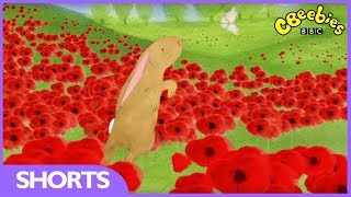 CBeebies Poppies  Behind The Scenes [upl. by Akkire]