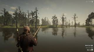 redfin pickerel Red Dead Redemption 2 survivalist 10 challenge [upl. by Cornish226]