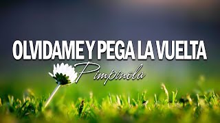 Olvídame y Pega la Vuelta  Pimpinela Letra [upl. by Sorrows]