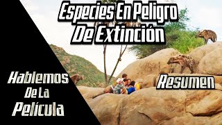 Especies En Peligro De Extinción quotEndangered Speciesquot RESUMEN [upl. by Oranneg]