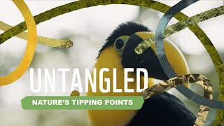 Untangled Tipping Points [upl. by Dolphin]