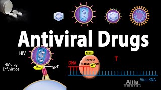 Antiviral Drugs Mechanisms of Action Animation [upl. by Euqinimod]