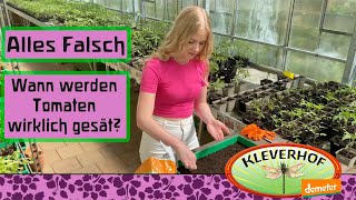 Wann werden Tomaten wirklich ausgesät [upl. by Llebasi]