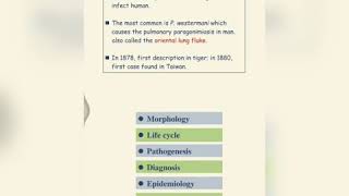 Paragonimus Westermani \Life Cycle \Parasitology\pathogenesis [upl. by Frasier]