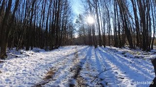 Sherwood Pines Festive Duathlon bike course recce [upl. by Peatroy751]