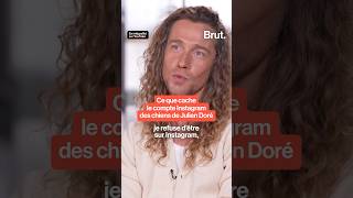 Ce que cache le compte Instagram des chiens de Julien Doré [upl. by Oicafinob]