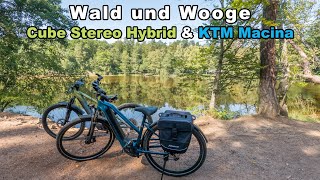 Wald und Wooge in der Nordpfalz  Cube Stereo Hybrid amp KTM Macina [upl. by Anima]