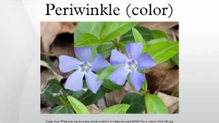 Periwinkle color [upl. by Yeliac]