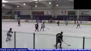 Girls Hockey v Waconia  1262024 [upl. by Beaufert686]