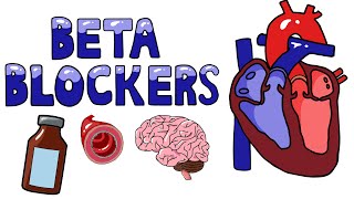 Beta Blockers  Selective vs NonSelective Beta Blockers  Uses  Beta Blocker Side Effects [upl. by Katinka]