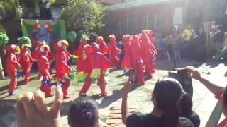 Danza de las Guacamayas [upl. by Onek]