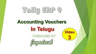 Tally Accounting Vouchers video3 [upl. by Aroc400]