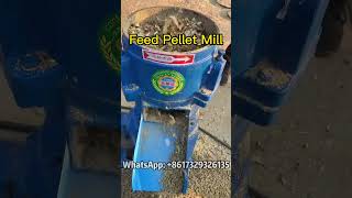 The Science of Pelletizing Understanding the Feed Pellet Milling Process woodworking wood [upl. by Puttergill]