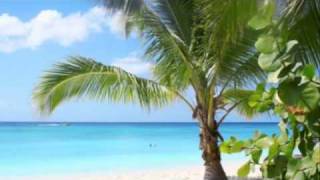 Punta Cana Resorts Travel [upl. by Bina]