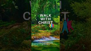 Walk With Christ  the new gathering hymn  httpsyoutubeqr3gDbn1umE shorts [upl. by Llemmart135]