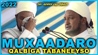 Muxaadaro Qalbiga Taabaneeyso 2022  Sheekh Xuseen Cali Jabuuti [upl. by Ogden]