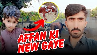 Affan Ki New Gaye  Aj Imran or Saad Gandam Ki Kasht Kr Rhe Thy [upl. by Garett]