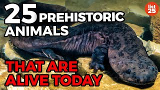 25 Prehistoric Animals That Are Alive Today [upl. by Karlotta]