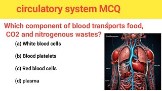 Human circulatory system MCQ of competitive exam ll human body MCQ ll circulatorysystem [upl. by Esela]