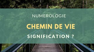 Comprendre le chemin de vie 4 et 5 [upl. by Singleton]