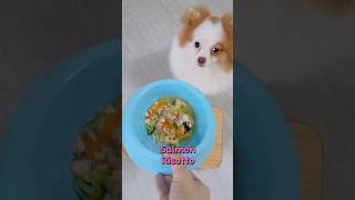 KoKos Pawsome Salmon Risotto Recipe shorts dog doglover doglife [upl. by Anowahs]