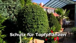 Gartentipps Winter  der Dauchenbeck Blatt und Blüte Tipp [upl. by Irah]