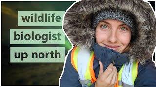 What do you need to wear amp carry as a BIOLOGIST Northern climate [upl. by Lladnor955]