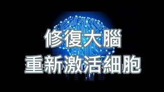 修復大腦音樂 細胞重新激活大腦音樂 [upl. by Wendelina]