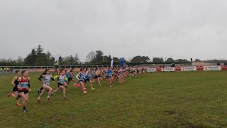 demi finale des Championnats de France de cross Challans cross court femmes [upl. by Alenas]