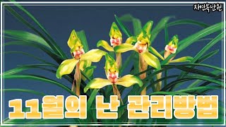 11월달 난관리방법 11월달에도 난관리방법 참고하시어 즐거운 애란생활하시길 바랍니다 [upl. by Proud]