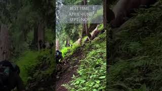 Kheer Ganga Trek  Treks near Manali  Places to visit in May  June  youtubeshorts travel [upl. by Astri]