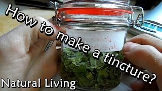 How to make a Tincture  Mother Tincture [upl. by Duky]