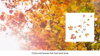 Poem Autumn Leaves1 [upl. by Ahtanamas]