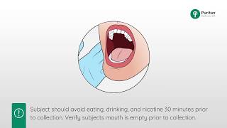 How to Collect a Buccal Swab Sample [upl. by Osbourn]