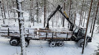 Malwa 560F Forwarder with trailer  Notodden Norway [upl. by Acirat140]