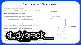 Merkmalsarten Skalenniveaus  Statistik [upl. by Aleuqahs]