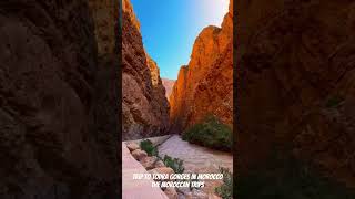 Trip to Todra Gorges in Morocco The Moroccan Trips  themoroccantrips [upl. by Spillihp]