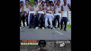 Walewale official video Teaser [upl. by Flossi]