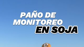 Como usar un paño de monitoreo para soja [upl. by Schatz]