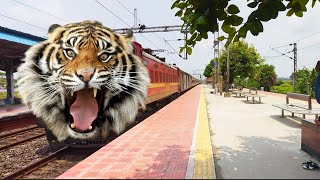 Furious Angry Tiger Face ARONAI Express Skipped At Balarambati Station [upl. by Enid]