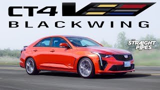 BUY THIS CAR NOW 2023 Cadillac CT4V Blackwing Review [upl. by Lehcem563]