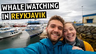 BEAUTIFUL WHALE WATCHING TOUR in ICELAND  Reykjavik AirBnB Tour [upl. by Ingeborg]