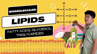 Lipids Fats Oils Waxes Steroids [upl. by Ahsital]