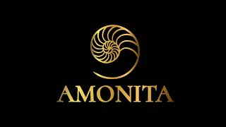 AMONITA  BEST OF 2022 [upl. by Bradley977]