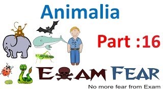 Biology Animalia part 16 Arthropoda CBSE class 11 XI [upl. by Magnusson805]